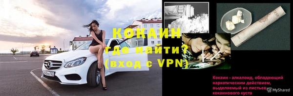 прущие грибы Абаза
