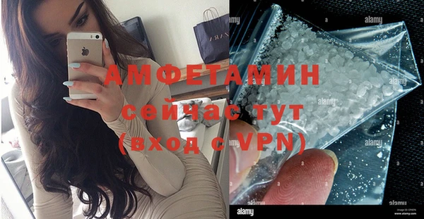 прущие грибы Абаза