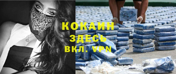 прущие грибы Абаза