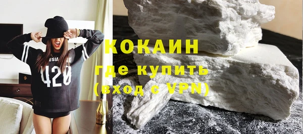 прущие грибы Абаза