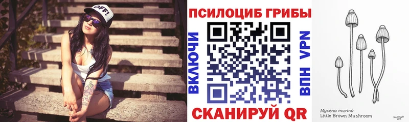 где можно купить   Камышлов  Галлюциногенные грибы MAGIC MUSHROOMS 